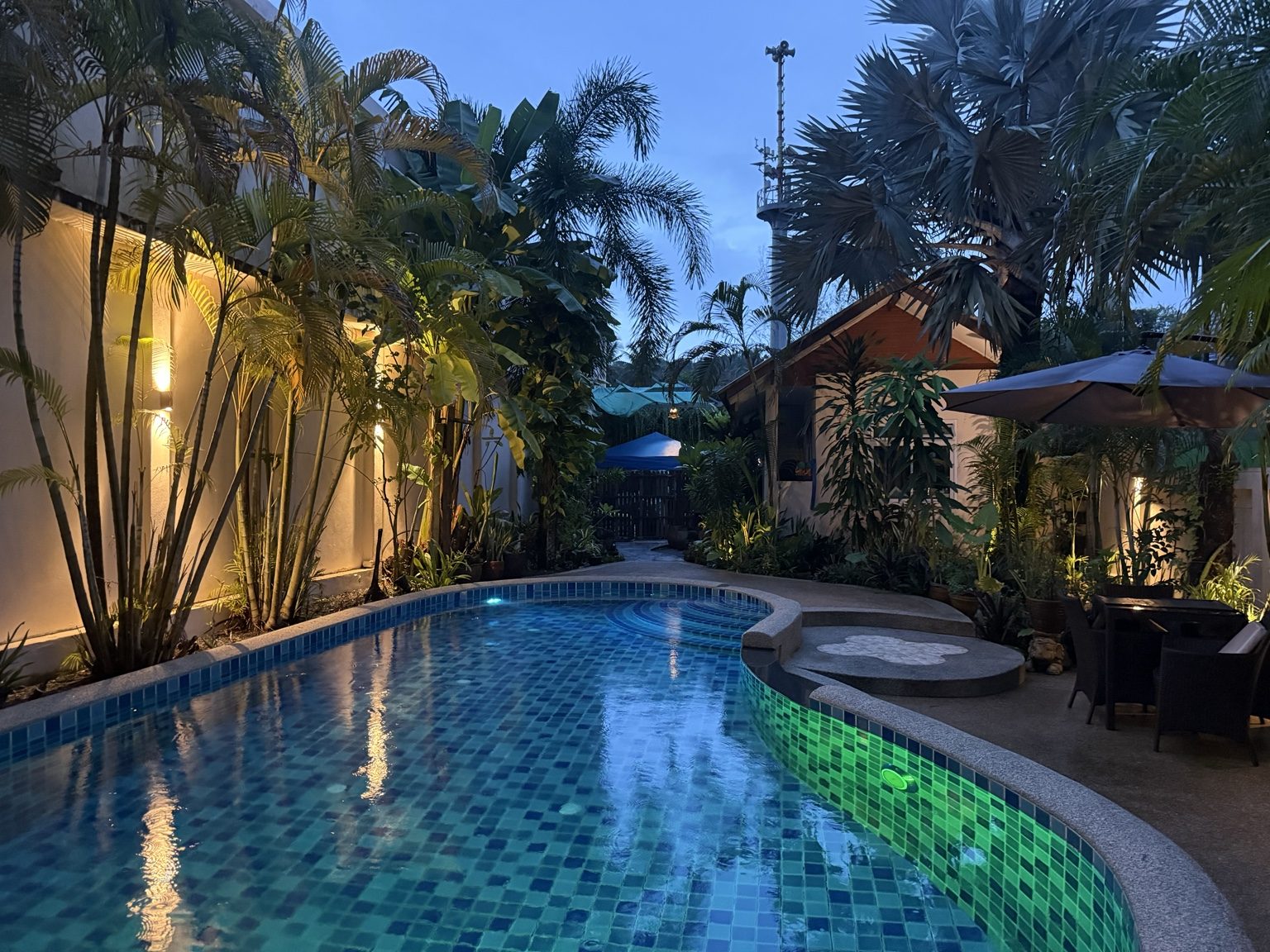 Pool and tropical garden at blue hour